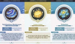 原神宣传草神爆料视频,原神全新角色预告片深度解析